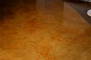Stain/stain12.jpg